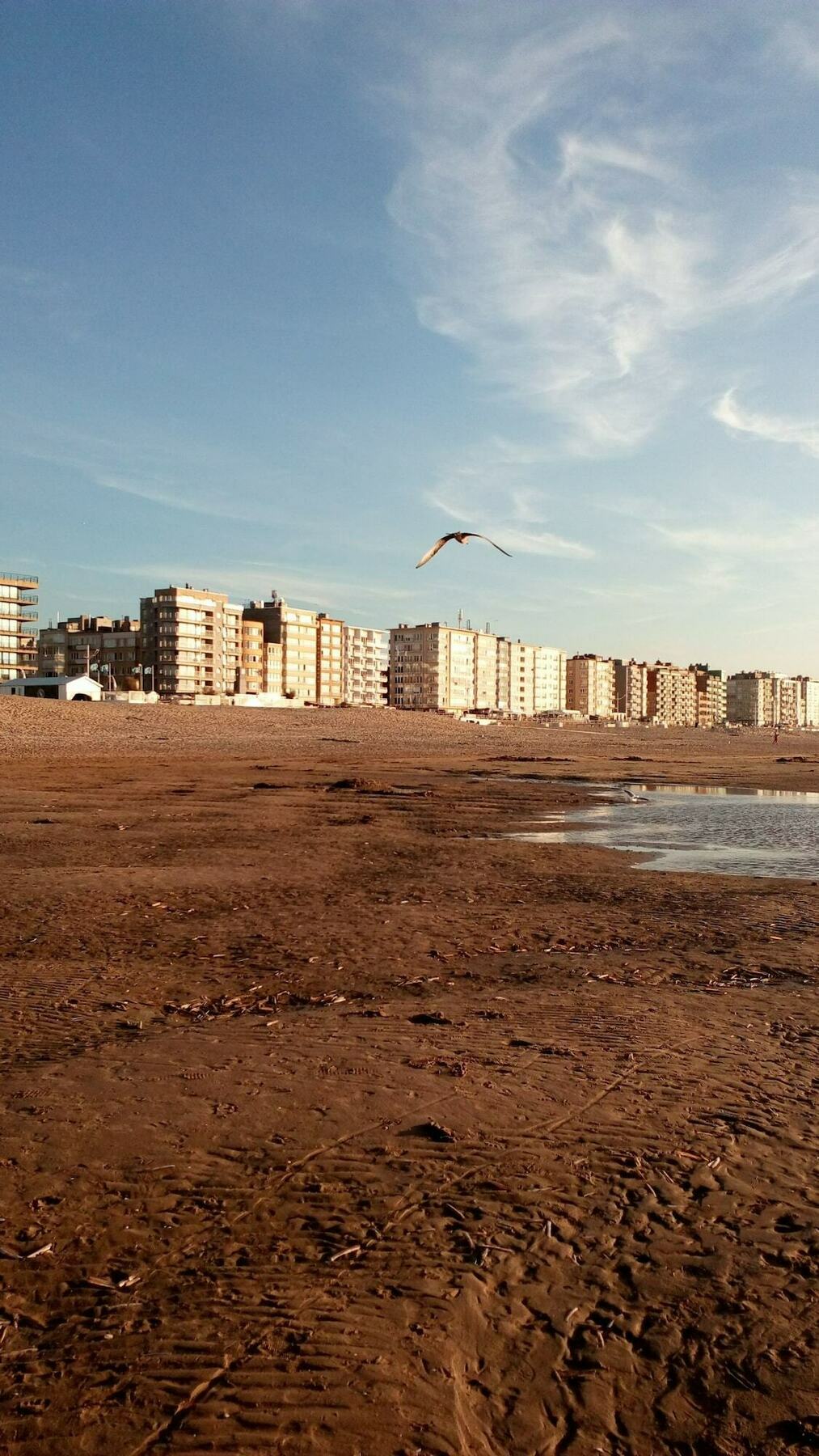 Bed Aan Zee Kabine7 Koksijde Exterior foto
